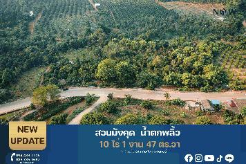 ที่ดินสวนมังคุดน้ำตกพลิ้ว